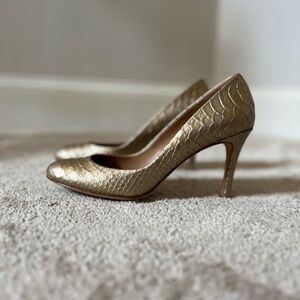 Ann Taylor Metallic faux Snakeskin Heels in Gold